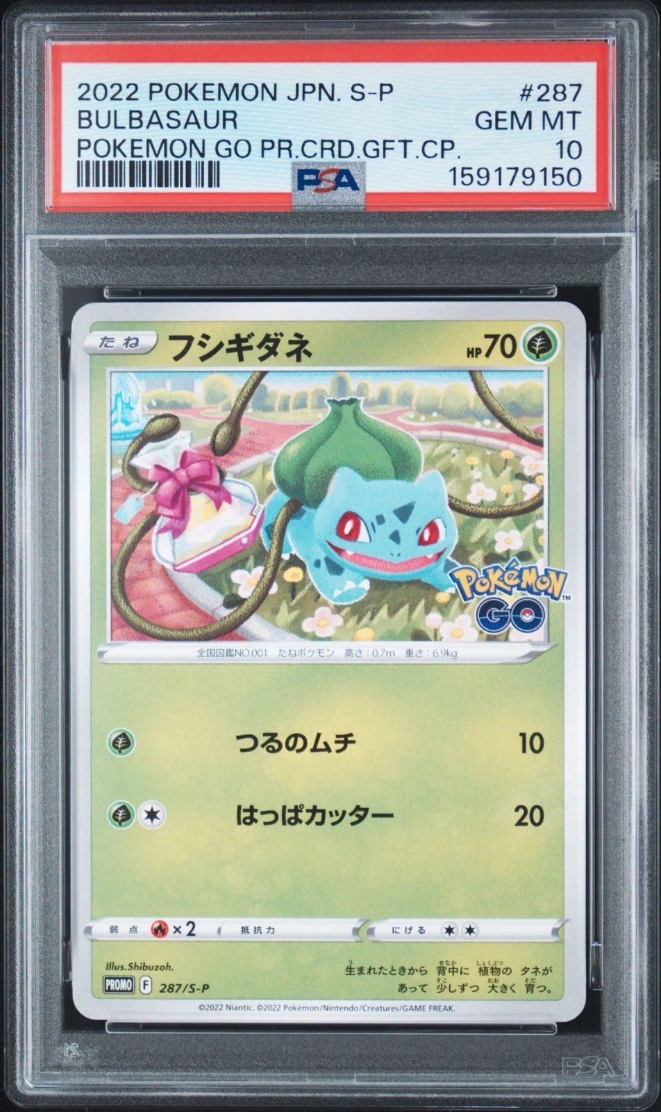 PSA10 フシギダネ ヒトカゲ ゼニガメ ポケモンGO ポケモン ポケカ 3枚セット】ポケモンGO フシギダネ 287 S-P PSA10 ゼニガメ 290 S-P