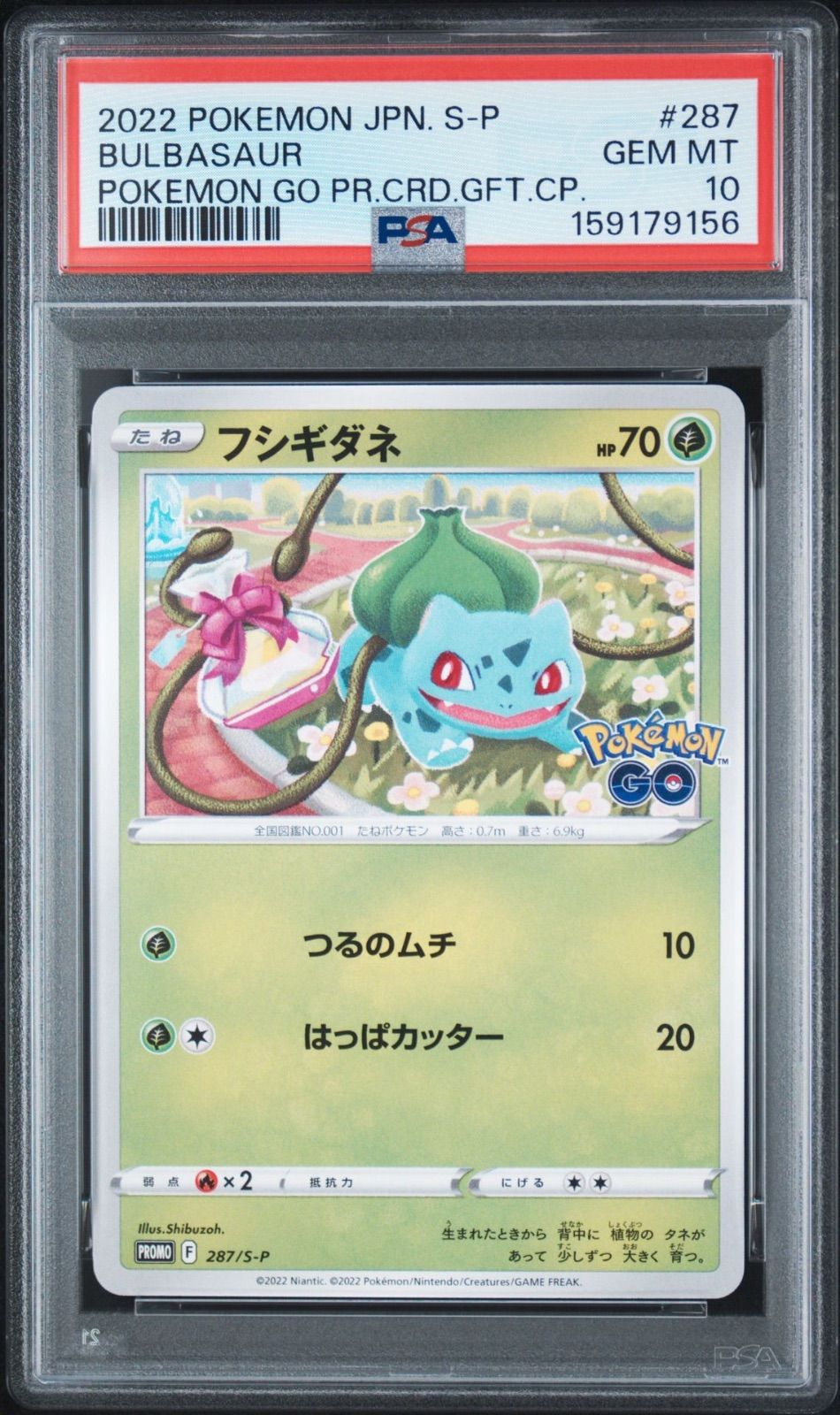 3枚セット】フシギダネ 287 S-P PSA10 ゼニガメ 290 S-P PSA10