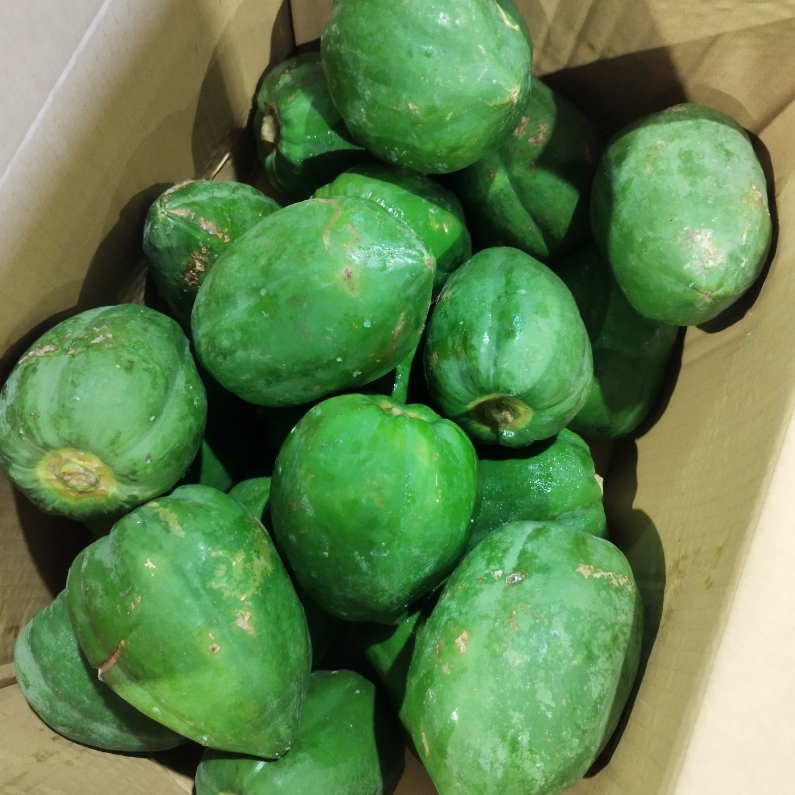 青パパイヤ　10KG　小玉　沖縄産 青パパイヤ 10KG 沖縄産 新品 - メルカリ