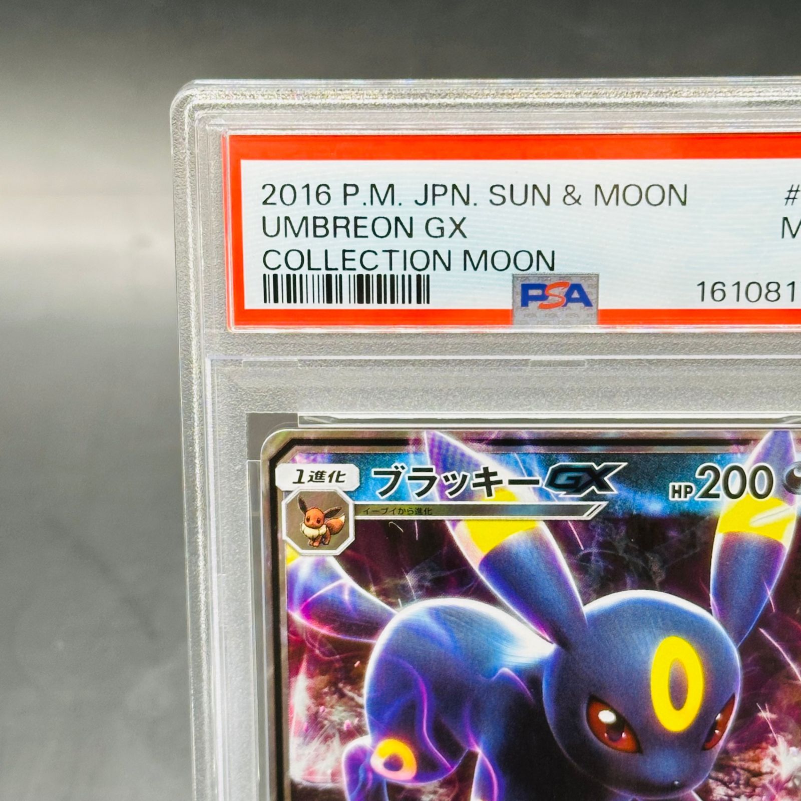 PSA9 ブラッキーGX 037/060 RR SM1M 2016 ブラッキーGX RR[SM1M 037/060](拡張パック「コレクション ムーン
