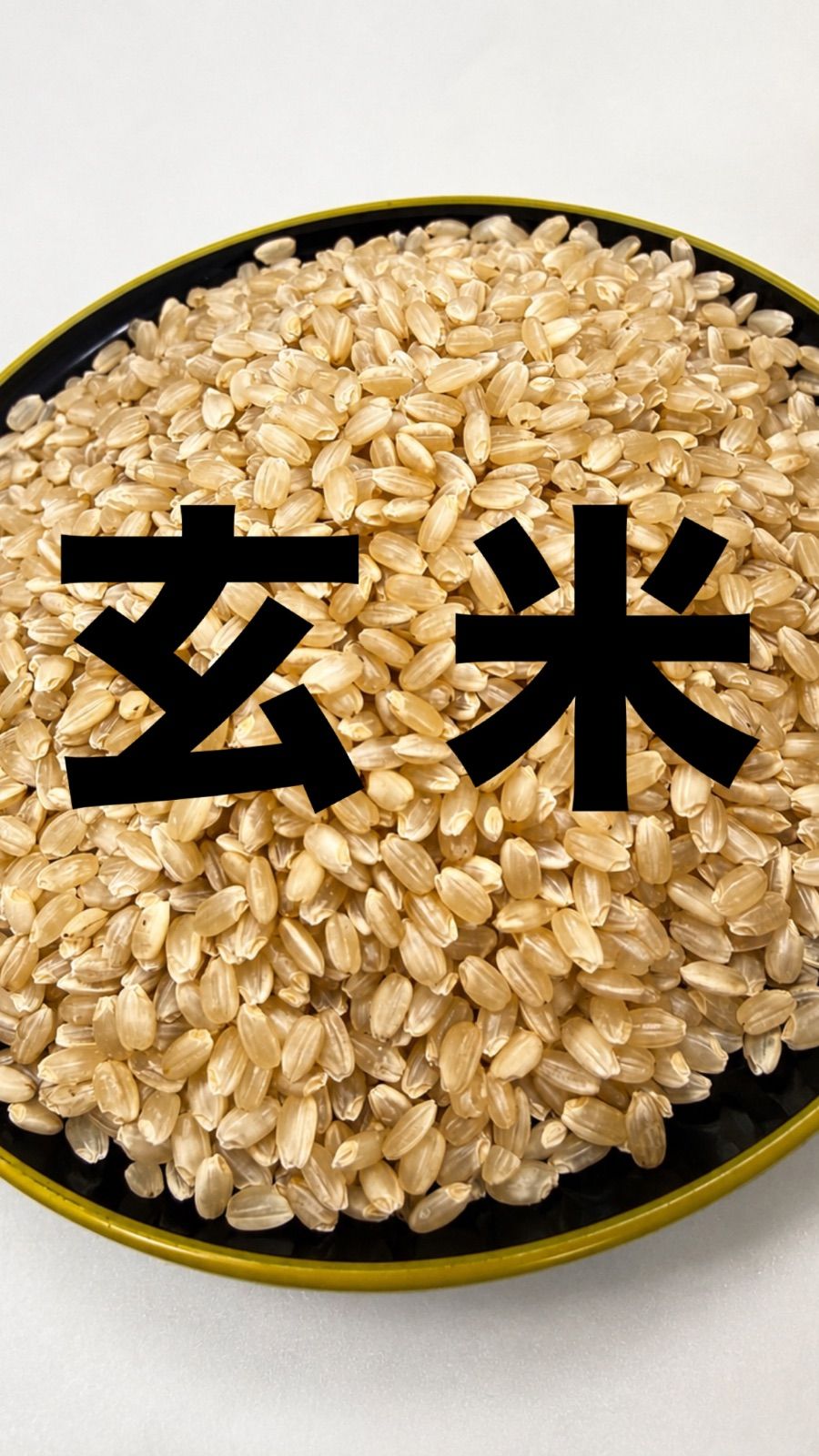福井県産 あきさかり アキサカリ 2026年 令和8年 新米 10kg 玄米