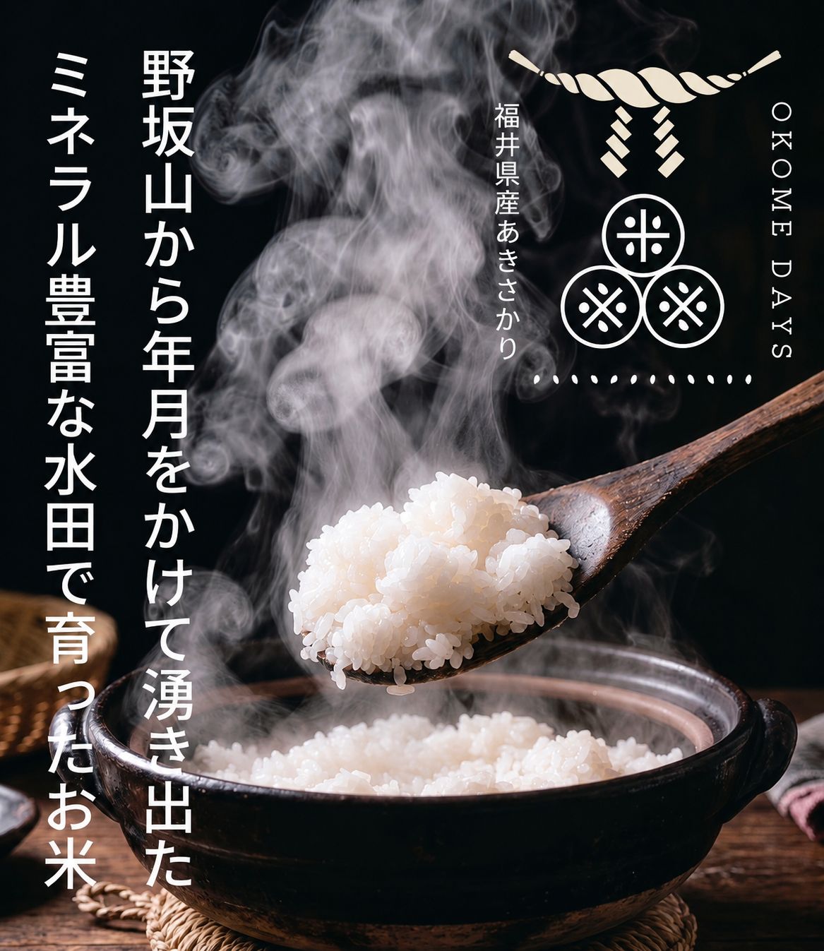 福井県産 あきさかり アキサカリ 2026年 令和8年 新米 10kg 玄米