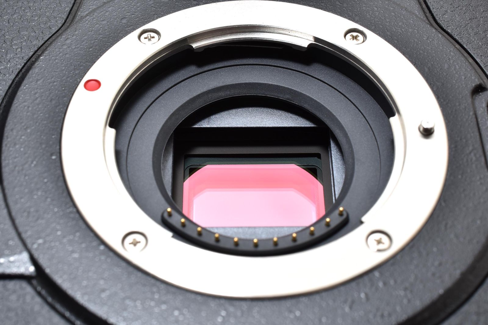 □業務用OEM□ PANASONIC パナソニック ルミックス GH5 品番RD-SPM049