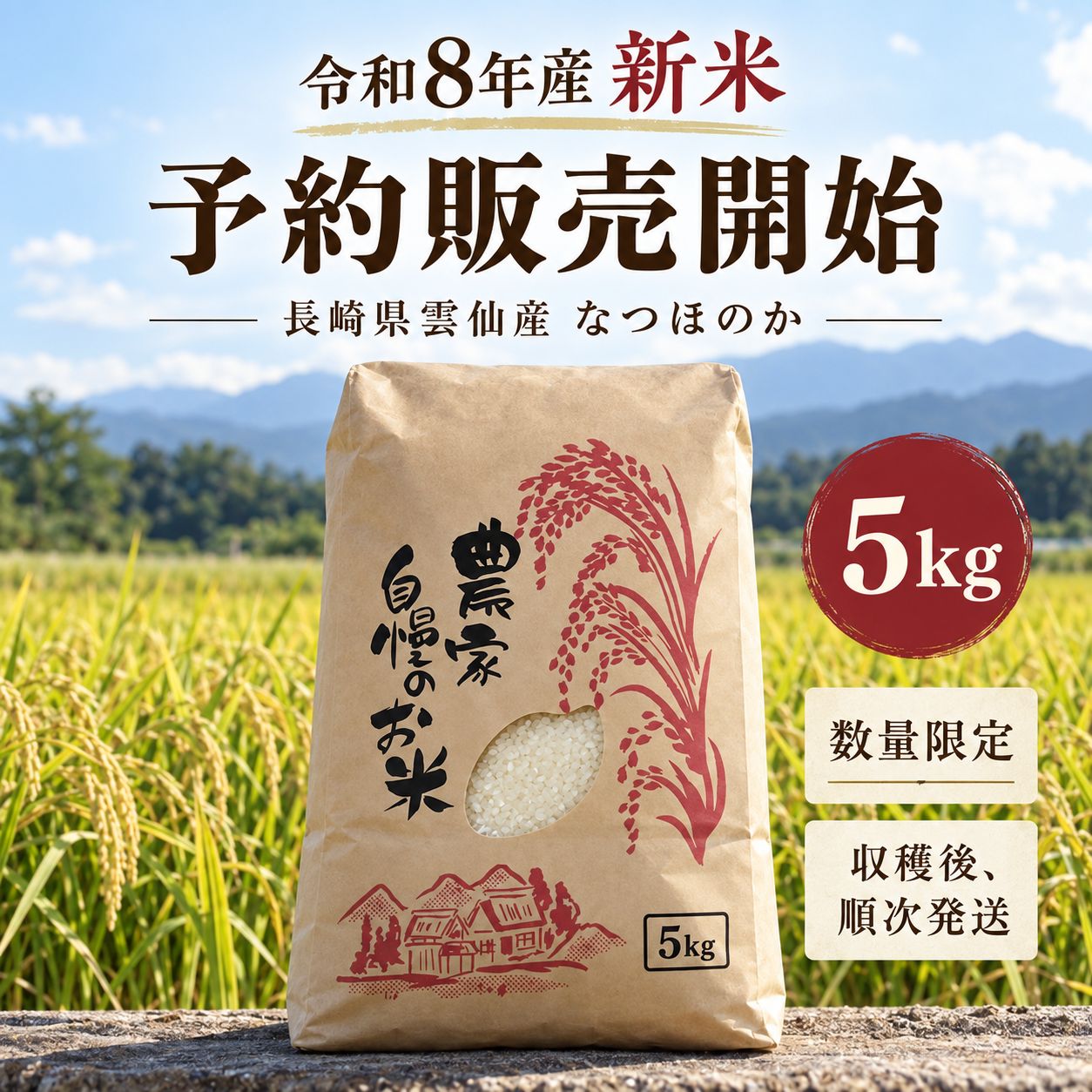 長崎県雲仙産 なつほのか 白米 5kg 令和8年産 - メルカリ