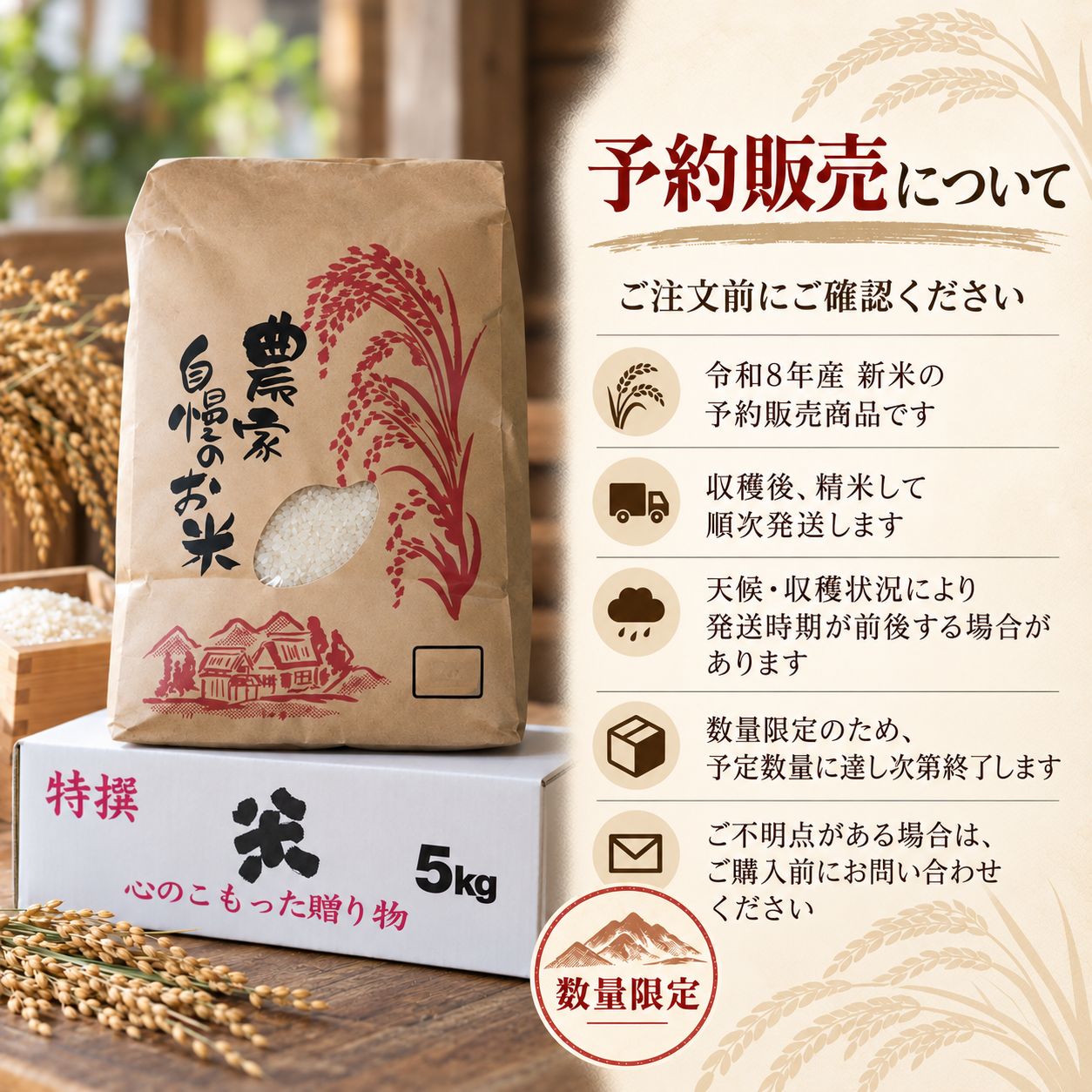 長崎県雲仙産 なつほのか 白米 5kg 令和8年産 - メルカリ