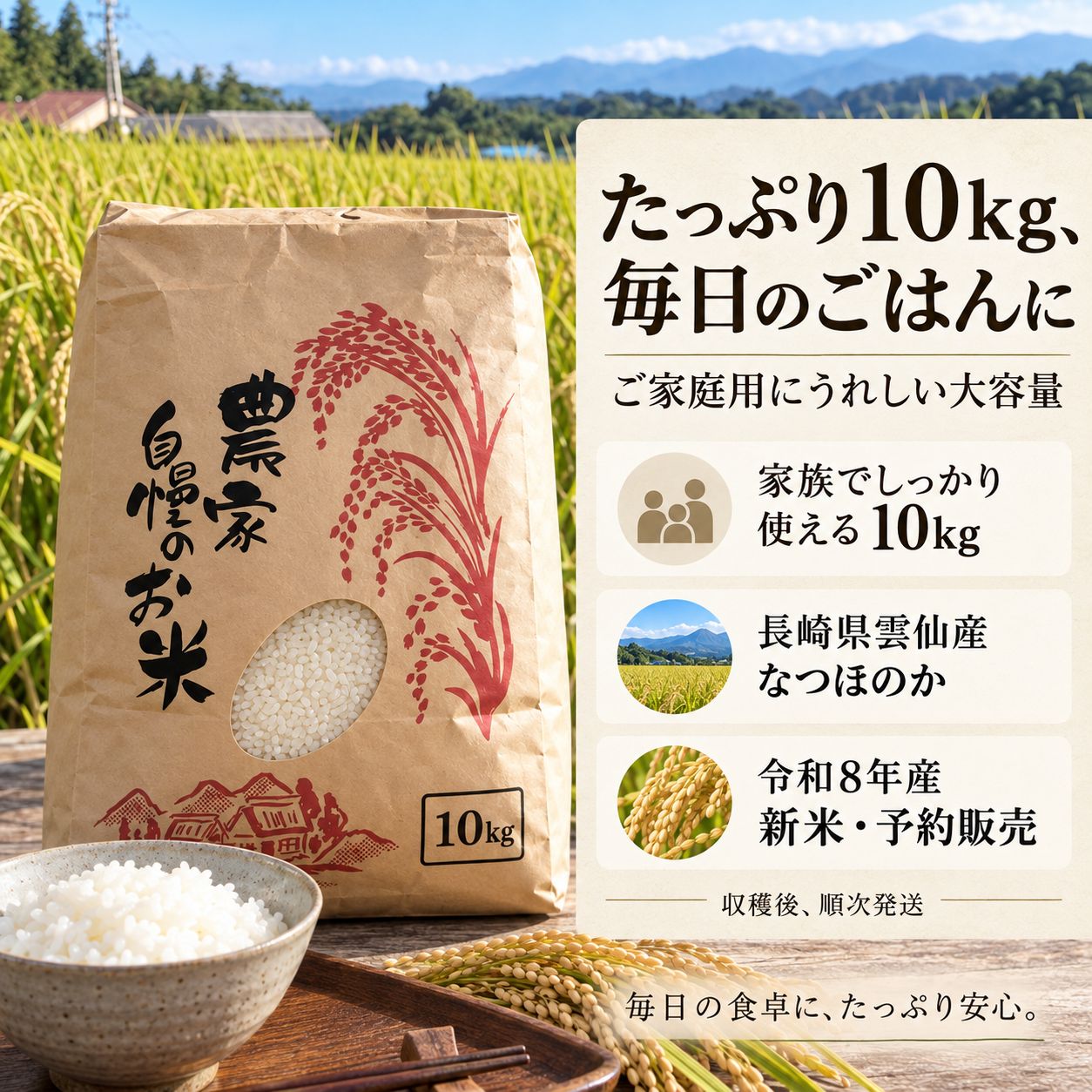 予約販売】長崎県雲仙産 なつほのか 白米 10kg - メルカリ