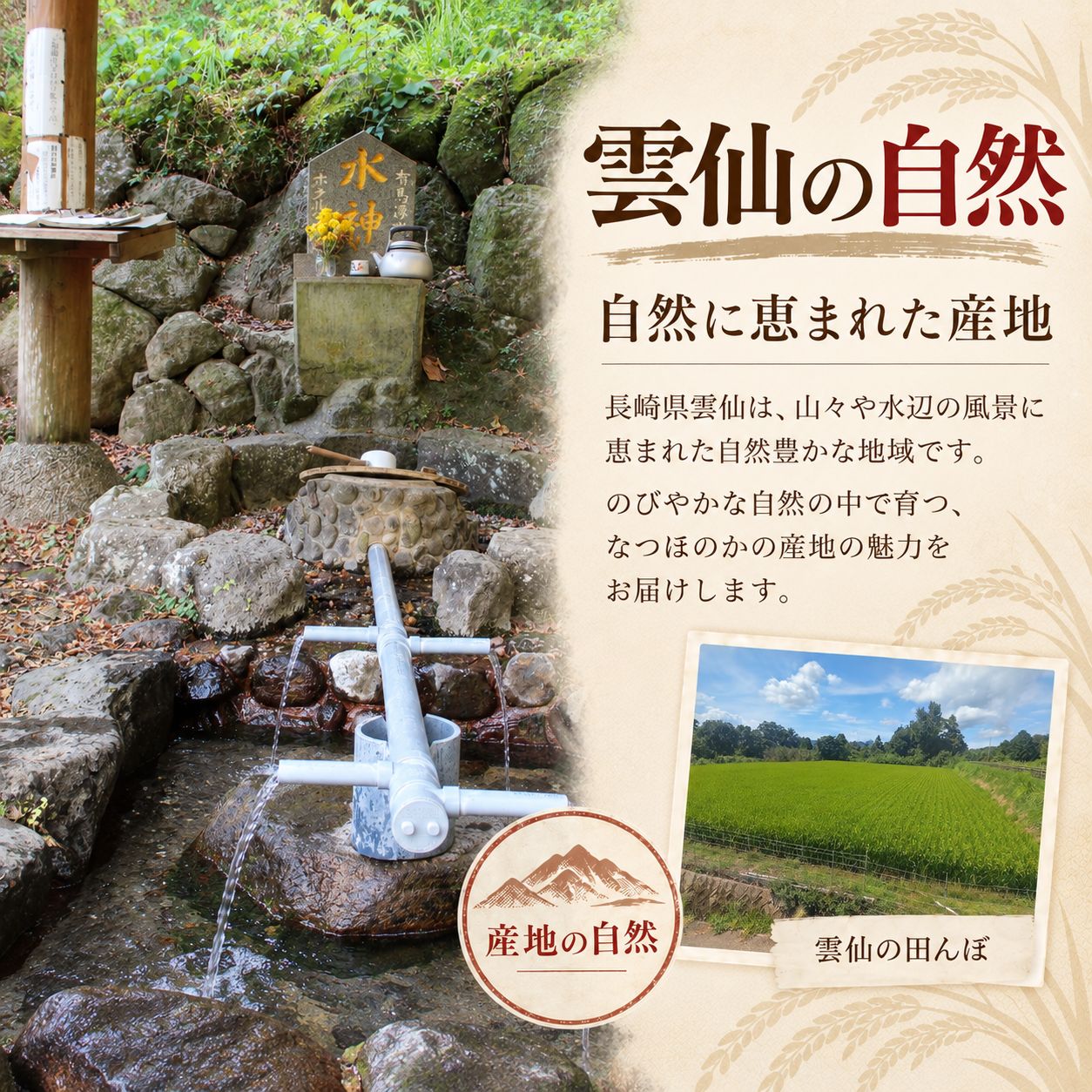 予約販売】長崎県雲仙産 なつほのか 白米 10kg - メルカリ