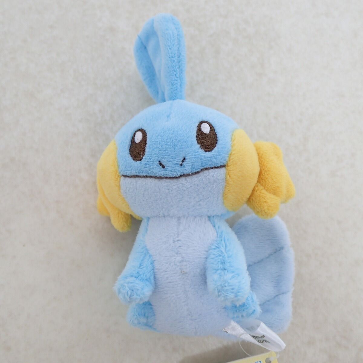 ポケモンセンター ぬいぐるみ ポケモンキャンバス ミズゴロウ 紙タグ