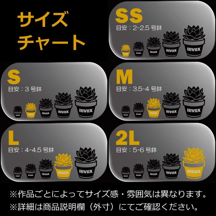 アウトレット》 4.5号鉢 陶器製植木鉢 マッドアーミー B-Roots IIIVIIX