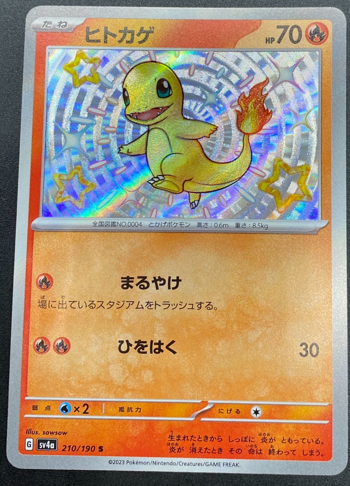 ポケモンカードゲーム ポケカ ヒトカゲ S SV4a-210 SV4a ハイクラス
