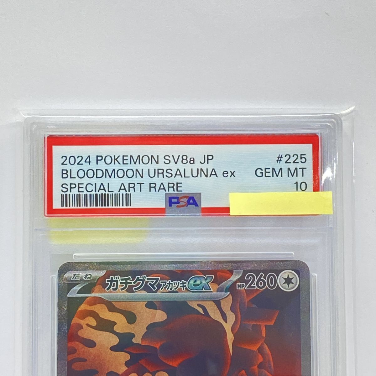 PSA10】ポケモンカード ガチグマアカツキex SV8a 225/187 SAR 鑑定品
