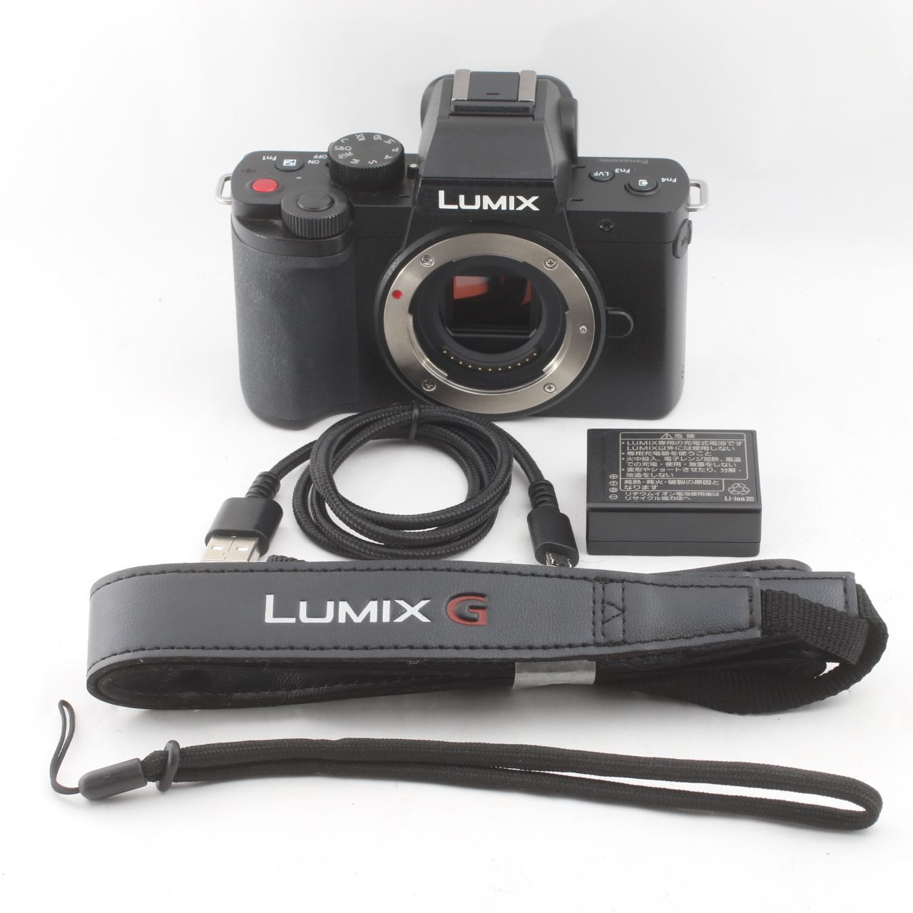 Panasonic LUMIX G100 DC-G100 ボディ ミラーレス一眼 マイクロフォーサーズ 動作確認済 パナソニック #S00285