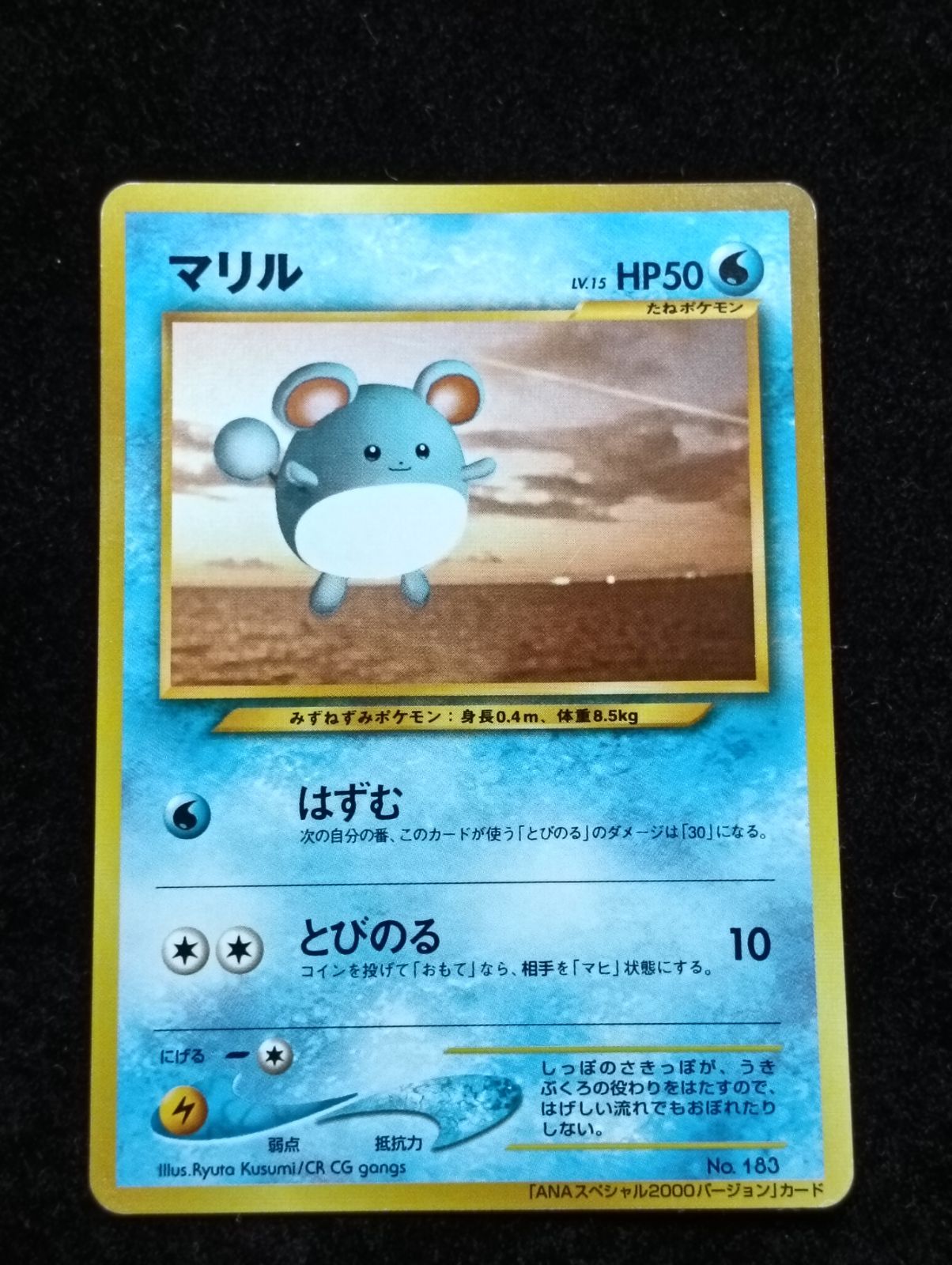 ANAマリル×2/ポケモンジェットでゲットだ！2000」プレゼントカード 旧裏 ポケモンカード 旧裏 マリル_ANAポケモンジェット「ジェットでゲットだ