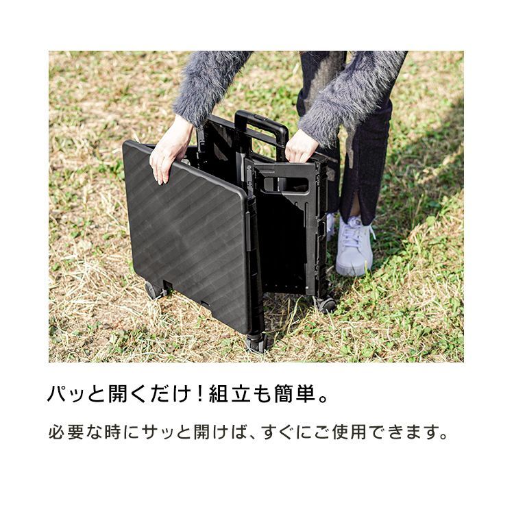 キャリーカート キャリーワゴン 折りたたみ 軽量 大容量 65L カート