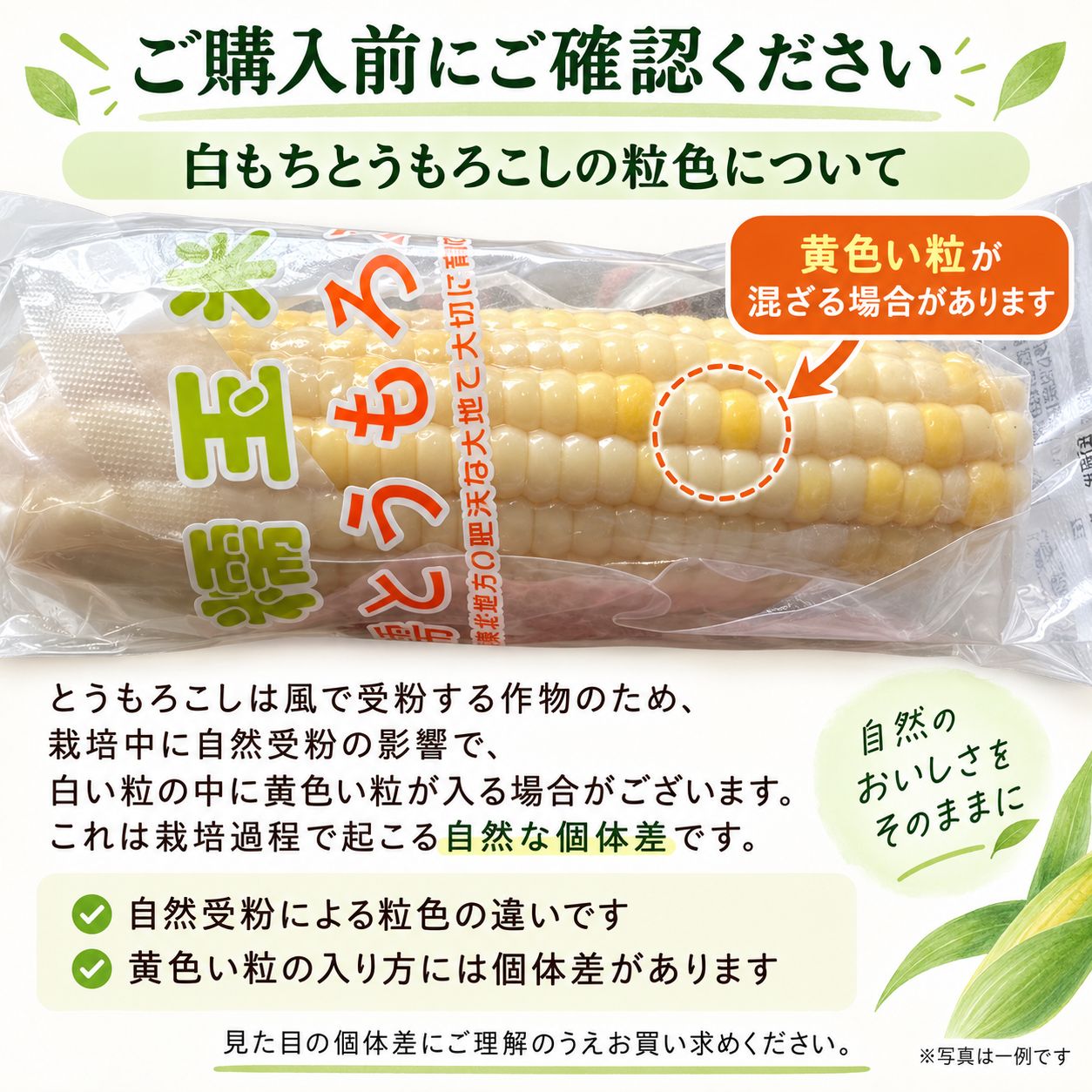 もちとうもろこし30本 興宜和 糯とうもろこし 30本入 新品 - メルカリ