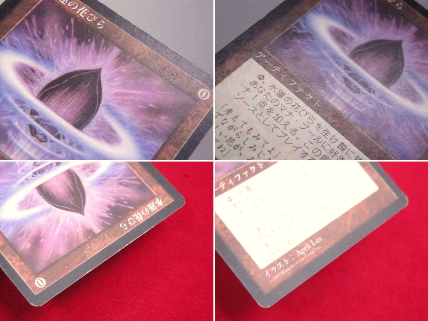 カメ】MTG 水蓮の花びら 日本語版 トレカ テンペスト 314 Lotus Petal