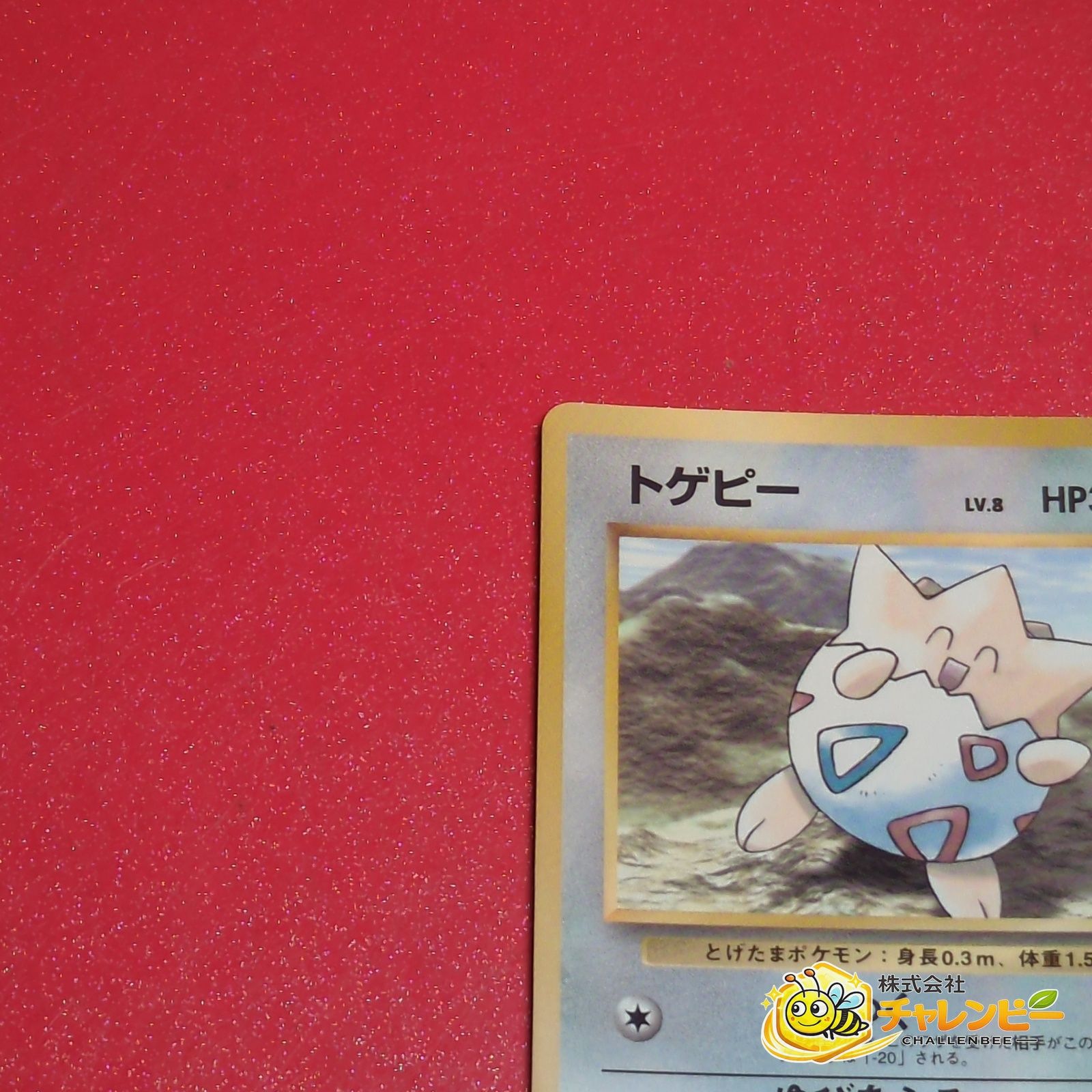 旧裏】 トゲピー LV.8 光沢あり ポケモンカード プロモーションカード