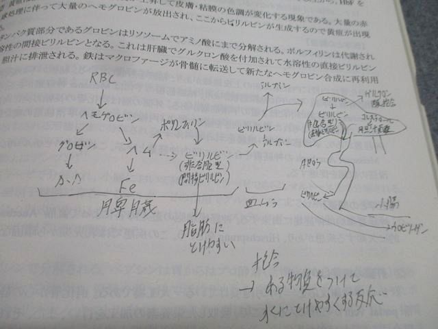 河合塾KALS 医学部学士編入対策講座 生命科学 要項集 2016年度実施試験