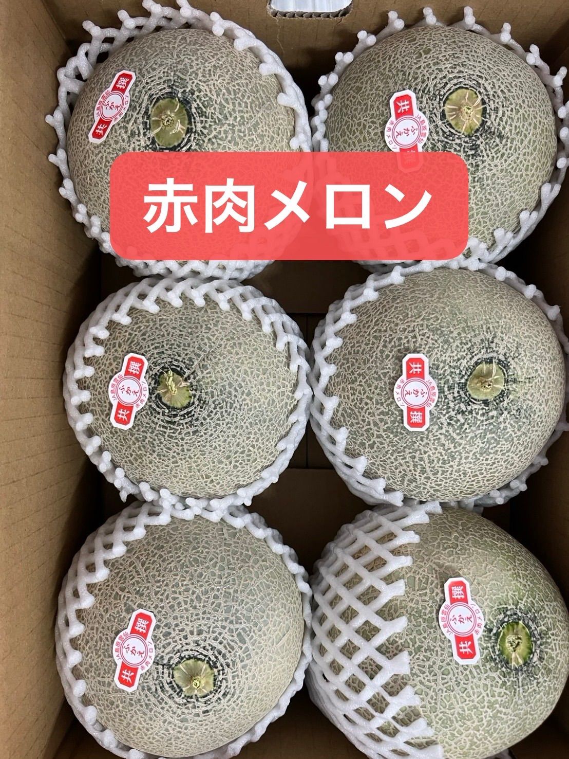 産地直送！赤肉フェスタメロン6玉入‼️箱込4.5キロ前後 - メルカリ