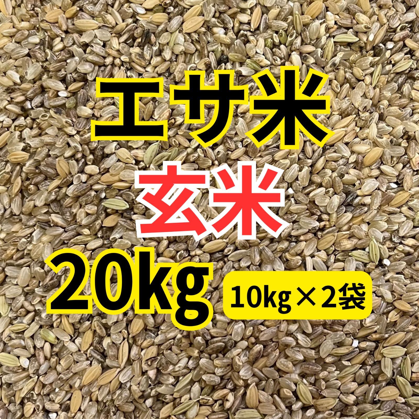 鳥の餌 玄米 20㎏(10㎏×2袋) 鳥エサ くず米 農家直送 鳥用のお米 エサ