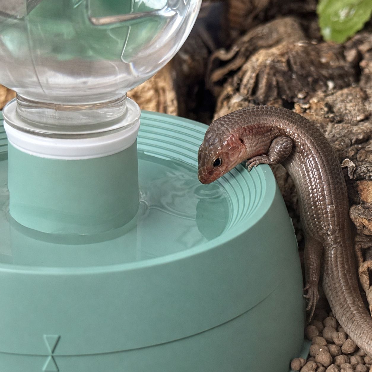 爬虫類 シェルター 隠れ家 カナヘビ トカゲ レオパ ヤモリ 水入れ 自動