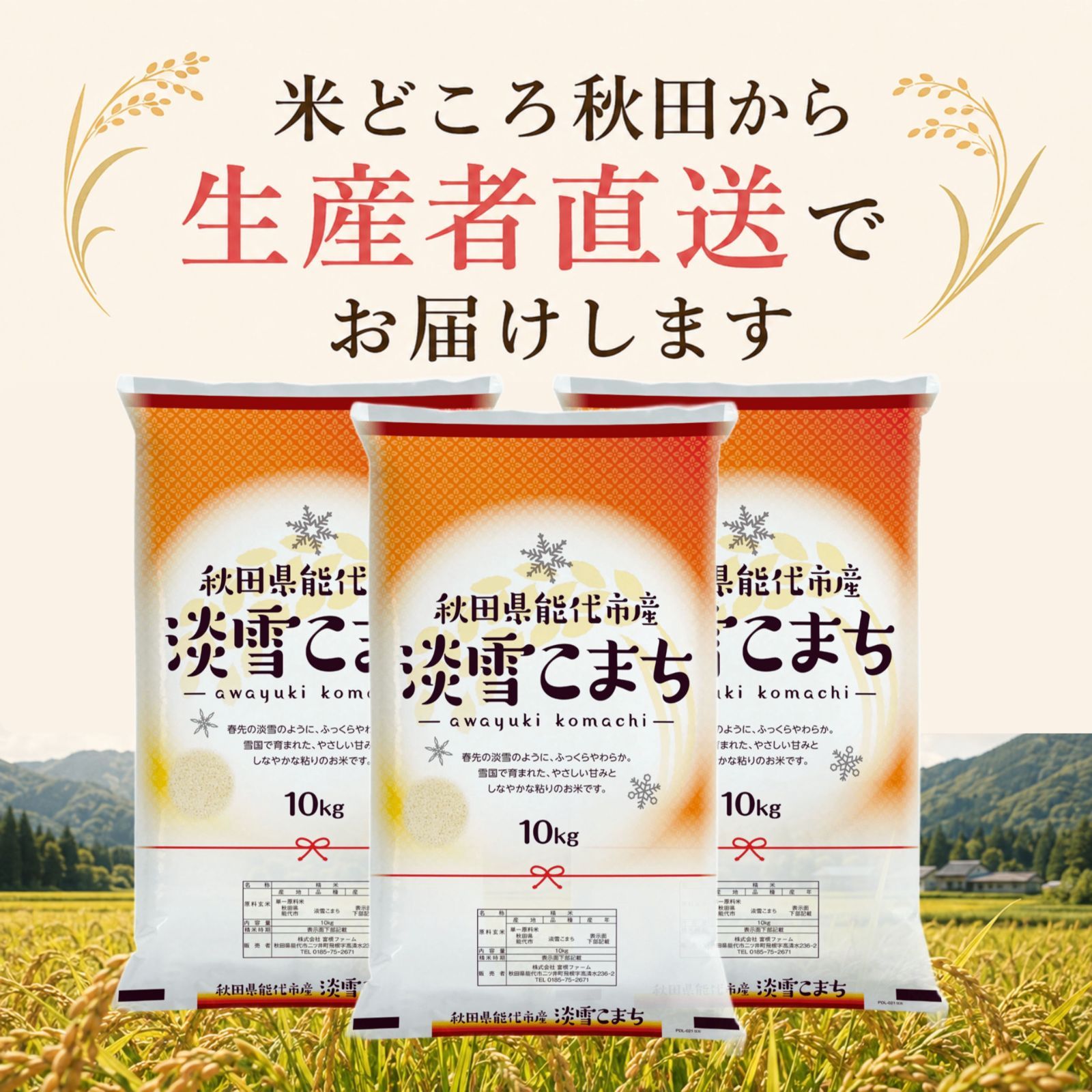秋田県産 淡雪こまち 30kg 白米 新品 - メルカリ