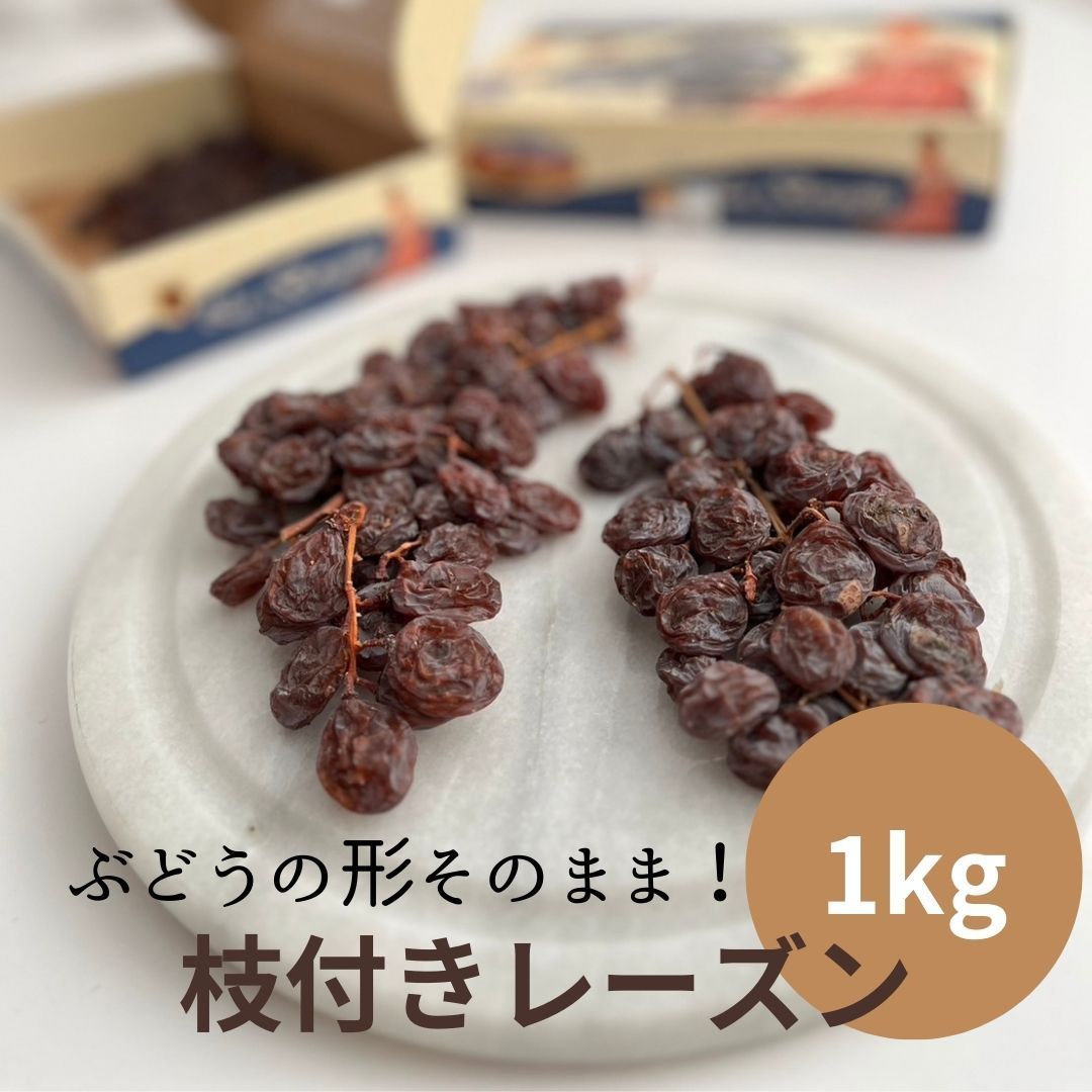 美品 掛け軸 今井玲豊作 金地 開運金龍図 共箱 縁起物 美術年鑑掲載