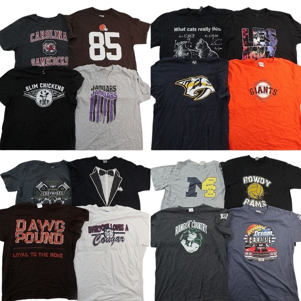 古着卸 まとめ売り プリント Tシャツ 16枚セット ( メンズ L ) プロチーム MLB ジャイアンツ アニマル 中古 古着 NH0729