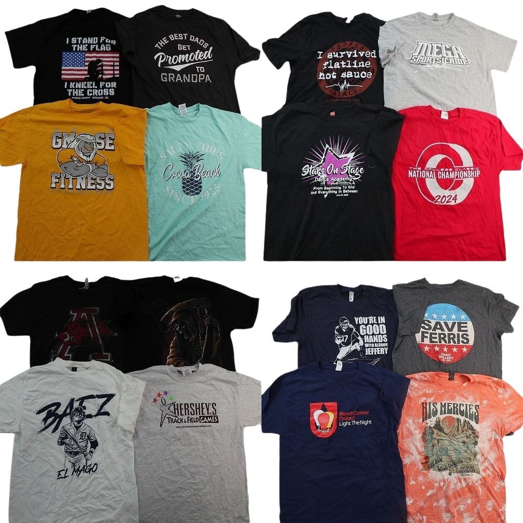 古着卸 まとめ売り プリント Tシャツ 16枚セット ( メンズ M ) 大判プリント スカル カレッジ風 中古 古着 NH0731