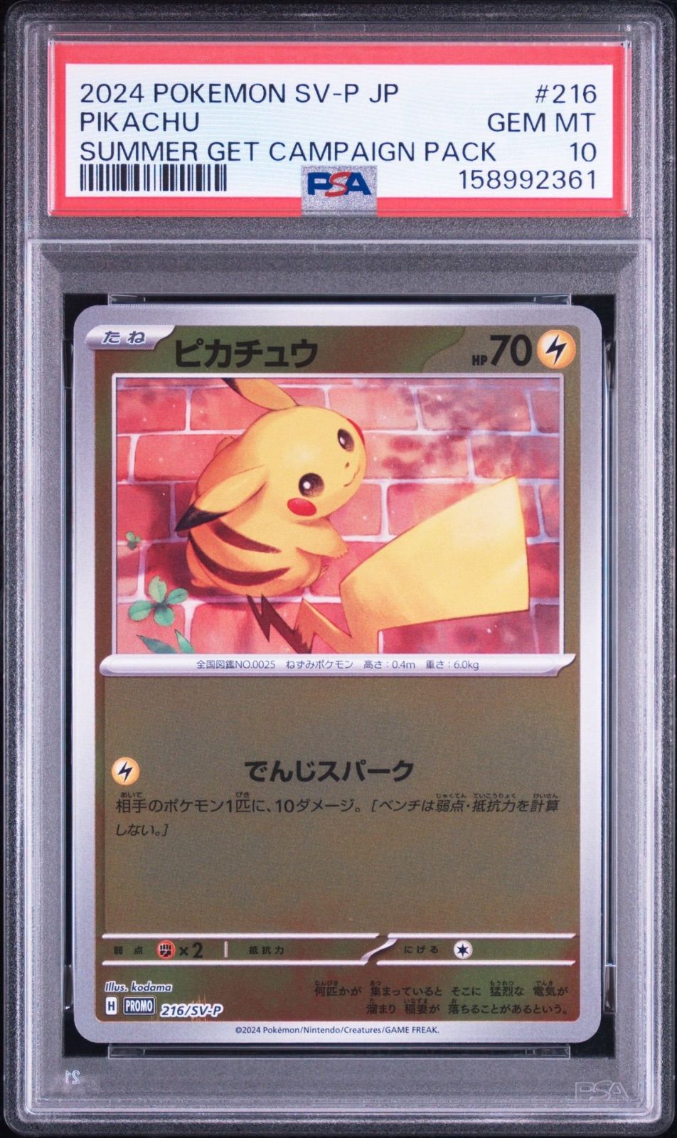 ピカチュウ P】PSA10 SV-P 216 プロモカードパック ポケカの夏がキタ
