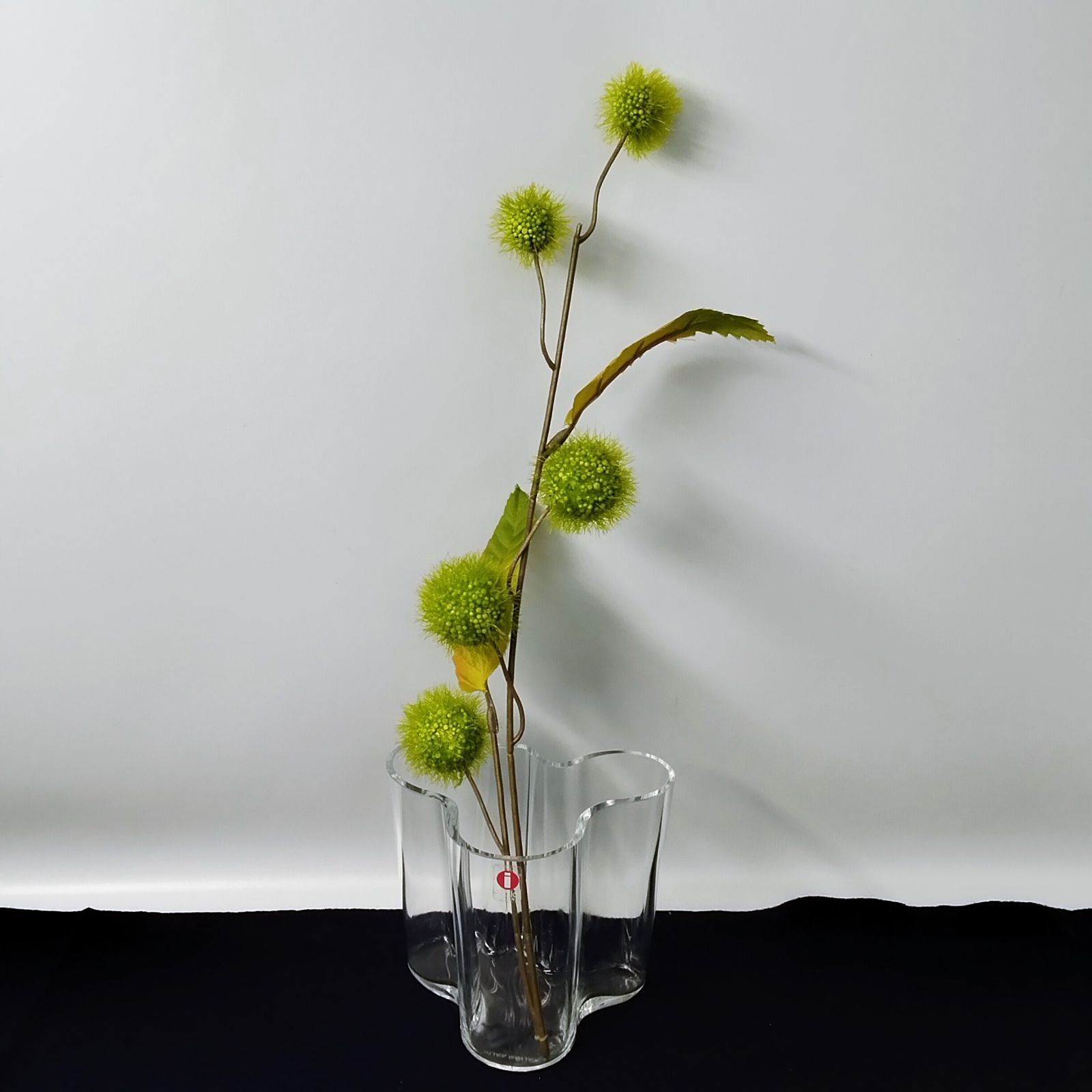 iittala イッタラ アルヴァ・アアルト ベース 95mm クリア 花瓶 《NO