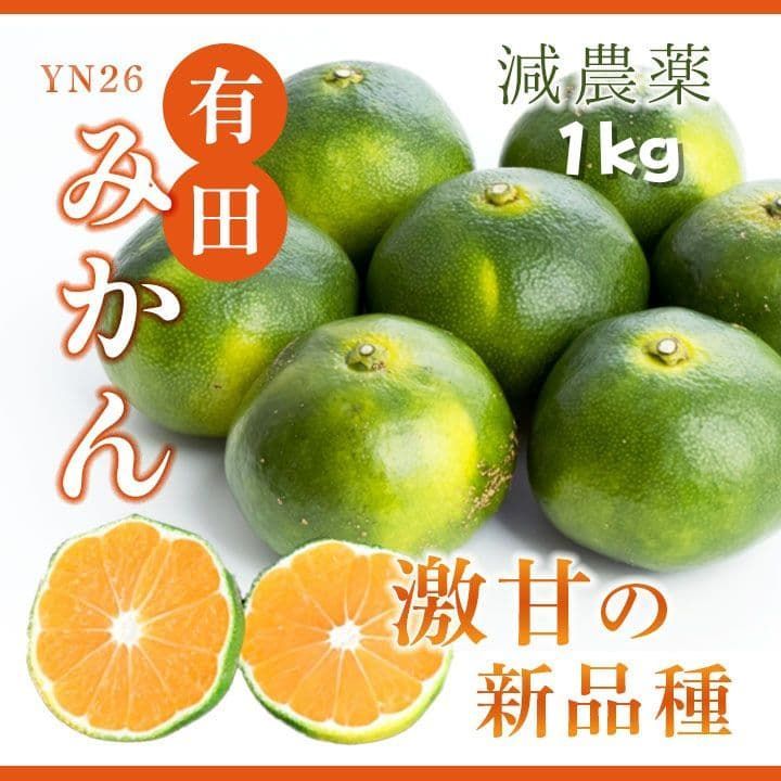 有田みかん YN26 極早生 ゆら早生 1kg 新品 - メルカリ