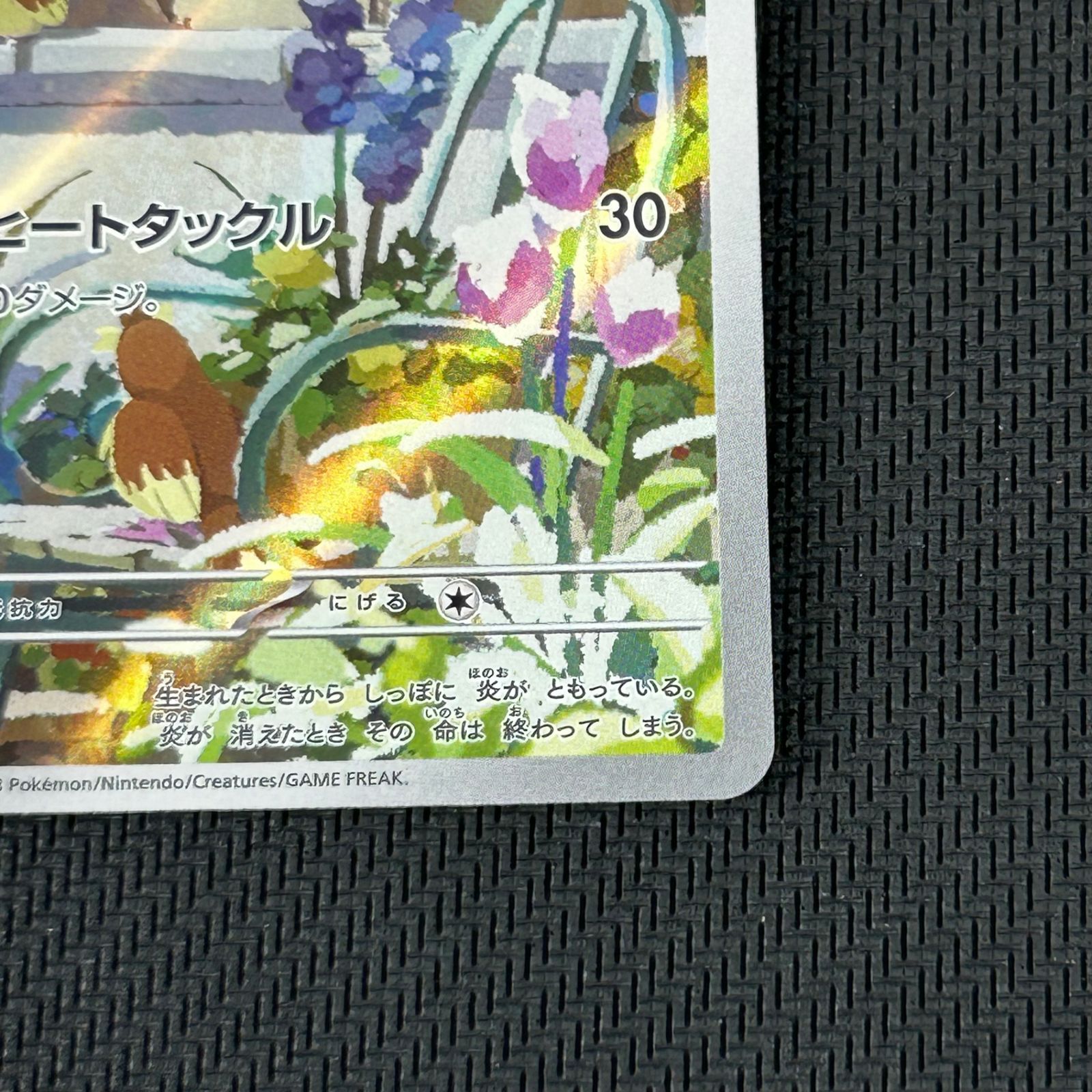 ポケカ ヒトカゲ AR仕様 051/049/SVG/B スペシャルデッキセットex