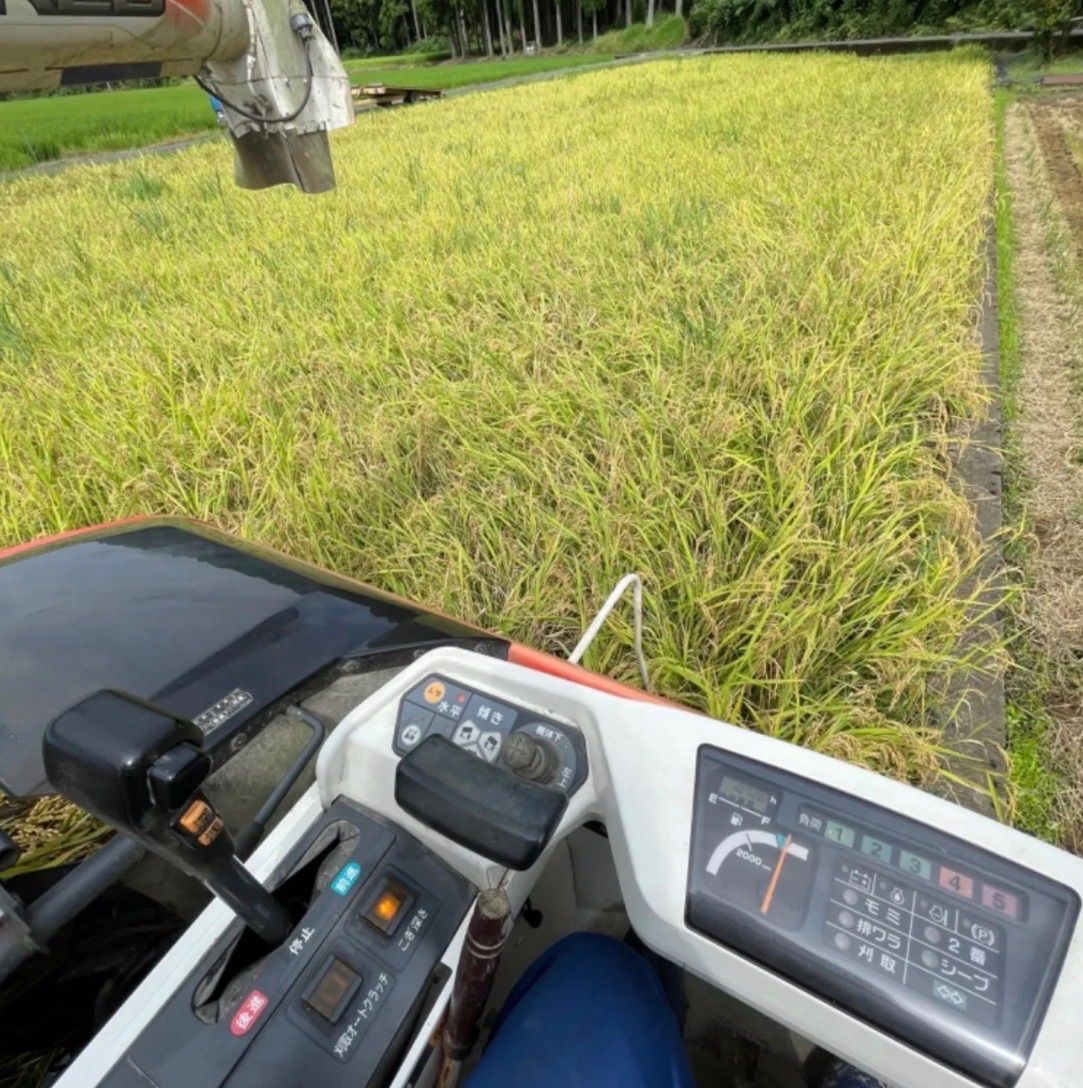 令和8年産 福井県越前市産あきさかり【玄米10キロ】 - メルカリ