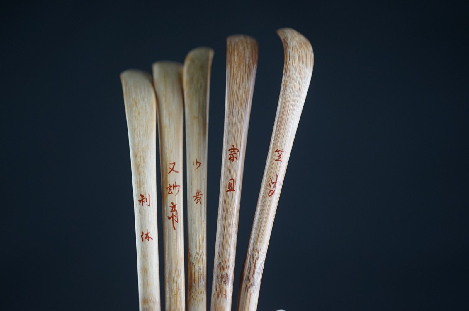 裏千家歴代茶杓 共筒 茶道具 15本セット - メルカリ