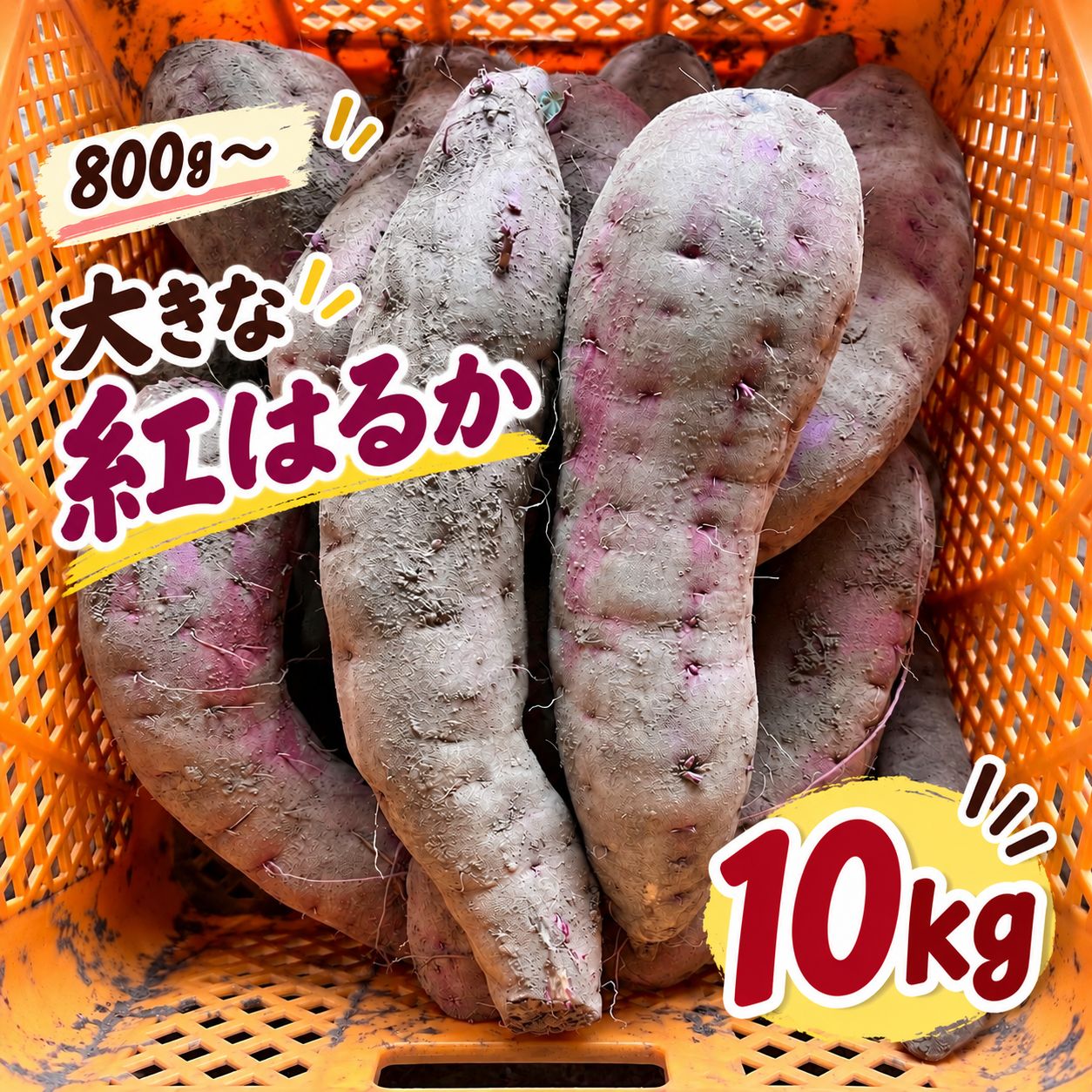 茨城県産 紅はるか 10kg 訳あり 新品 - メルカリ