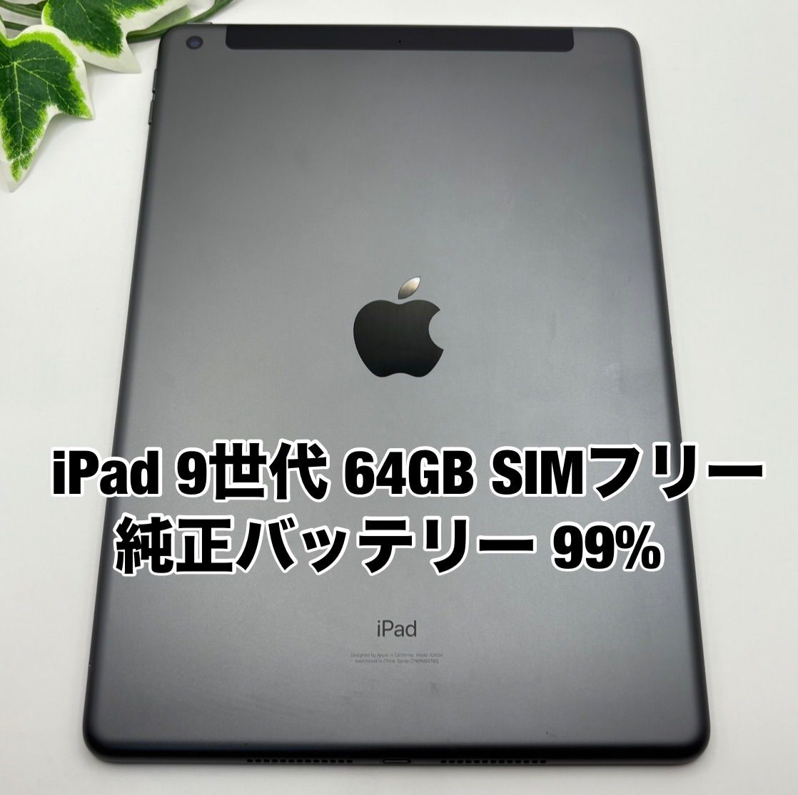 Apple iPad 第9世代 64GB 10.2インチ スペースグレイ SIMフリー iPad9