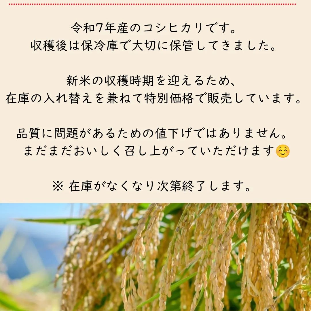 新潟県長岡産新之助 玄米30kg 令和7年産 新品 - メルカリ