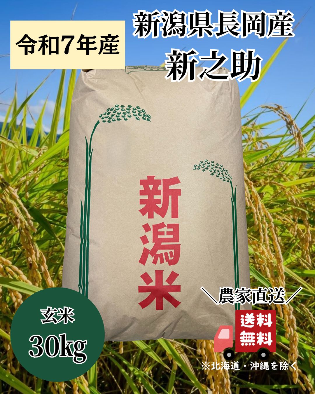 新潟県長岡産新之助 玄米30kg 令和7年産 新品 - メルカリ