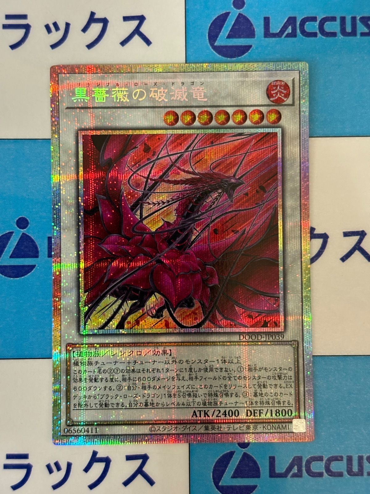 遊戯王 黒薔薇ノ破滅竜 プリズマティックシークレットレア/プリシク