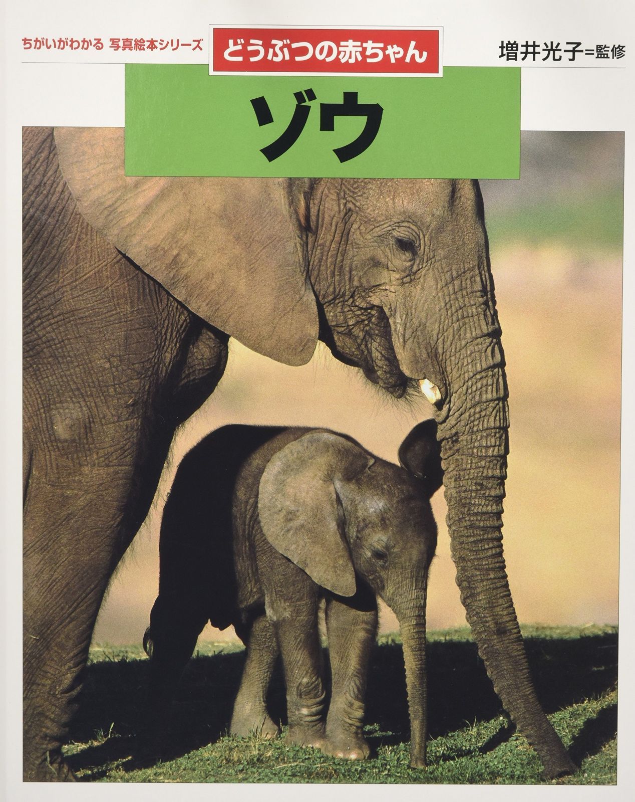 ゾウ: どうぶつの赤ちゃん (ちがいがわかる写真絵本シリーズどうぶつの赤ちゃん)