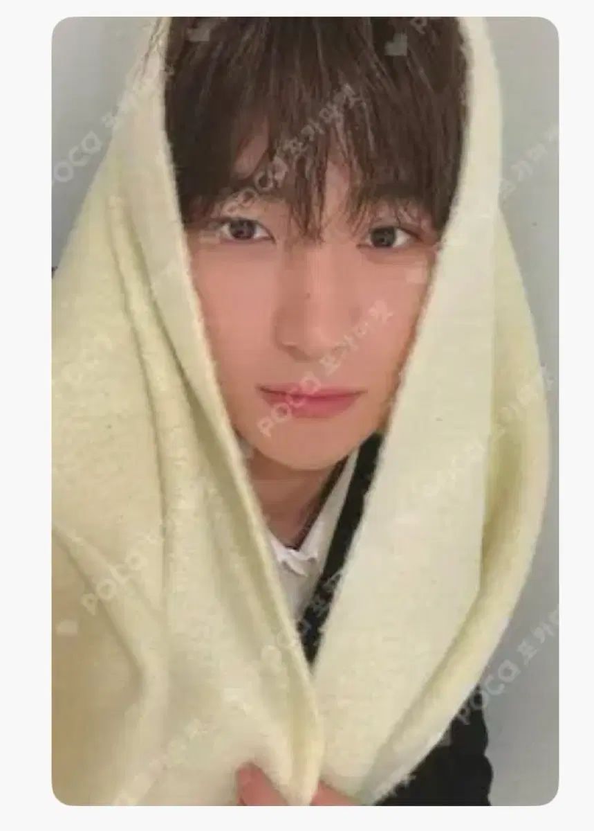THE BOYZ ヒョンジェ トレカ THE BOYZ ヒョンジェ トレカ a;effect スタイリッシュ EVERLINE 未公開