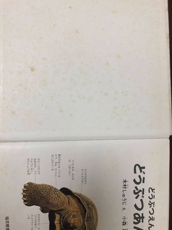 絵本 まとめ売り 29冊セット 福音館書店 名作 ロングセラー 読み聞かせ
