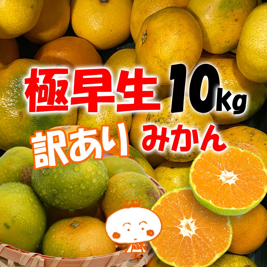 愛媛県産 愛媛みかん 10kg やや傷や汚れあり - メルカリ