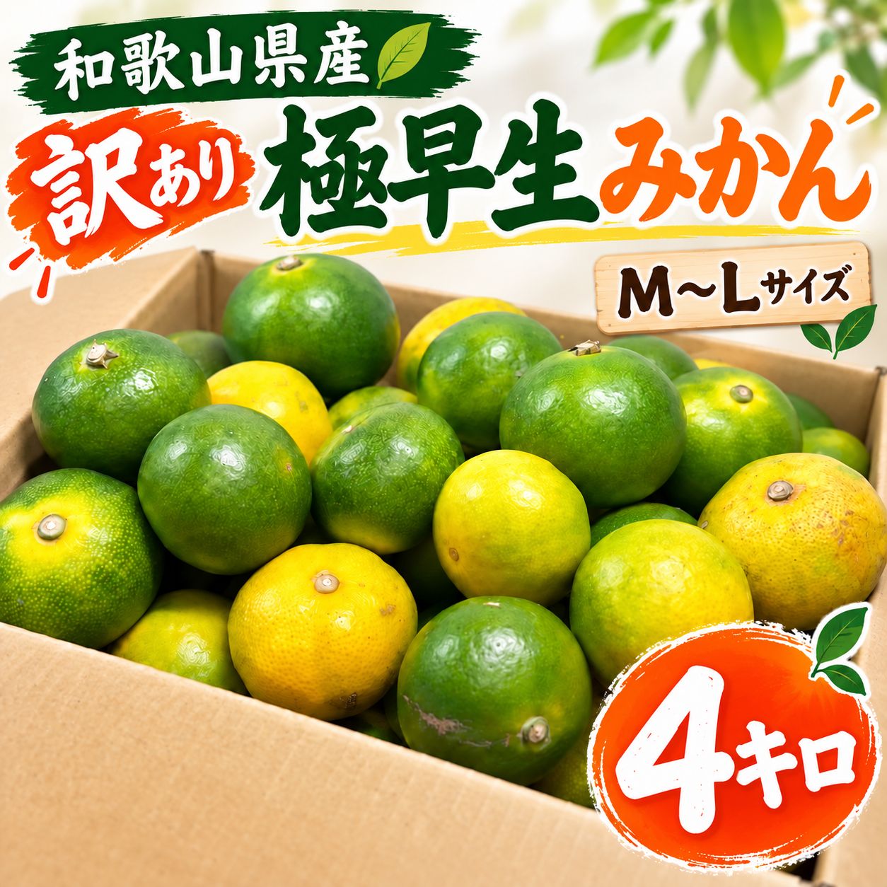 和歌山県産 極早生みかん M~Lサイズ 4キロ 新品 - メルカリ