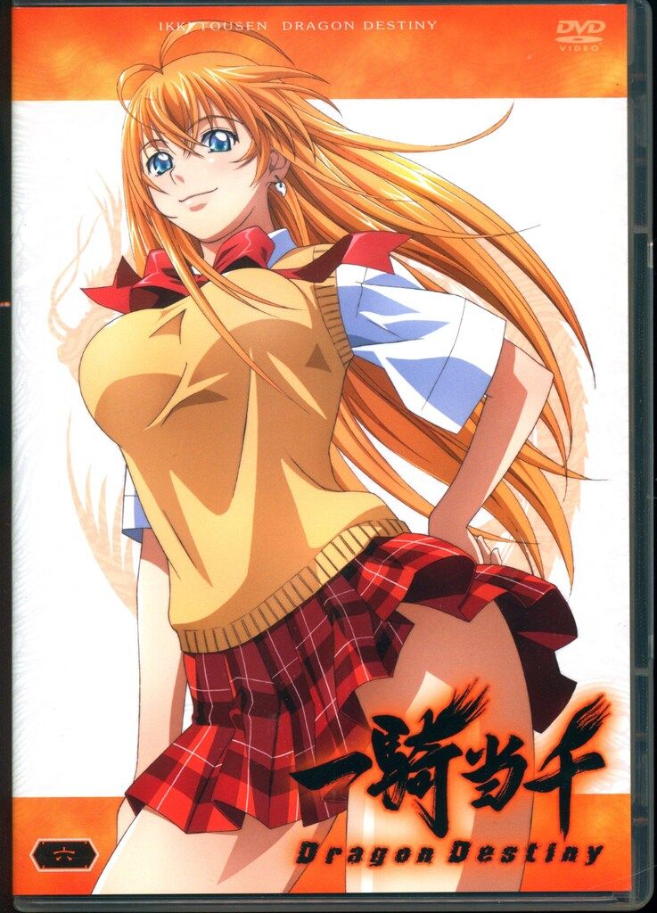 アニメDVD 一騎当千 Dragon Destiny 全6巻 セット - メルカリ