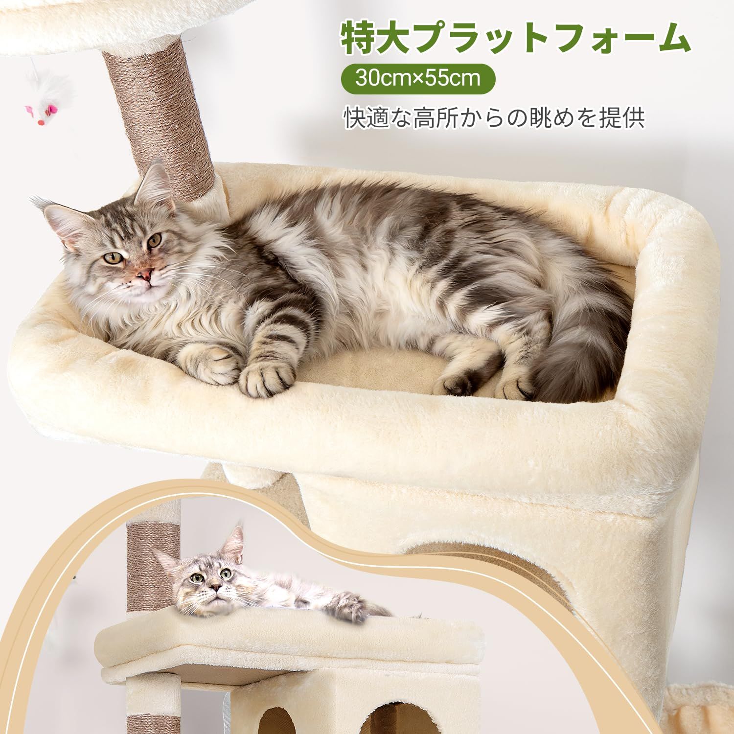 Globlazer S72 キャットタワー 大型 頑丈 多頭飼い 高さ178 cm 付き