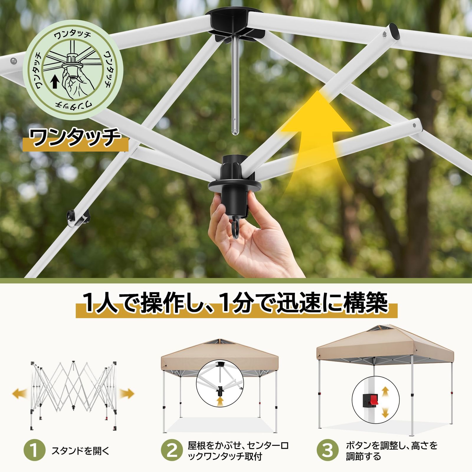 ワンタッチタープテント 2.5m×2.5m セントラルロック式 3 段階高さ調整