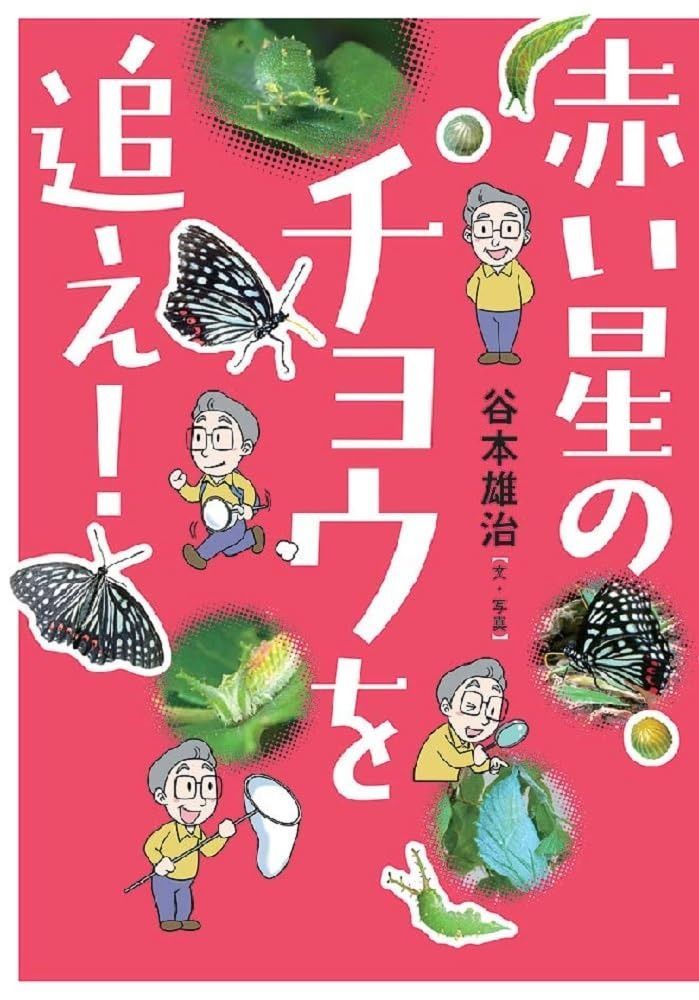 赤い星のチョウを追え! (文研ブックランド)