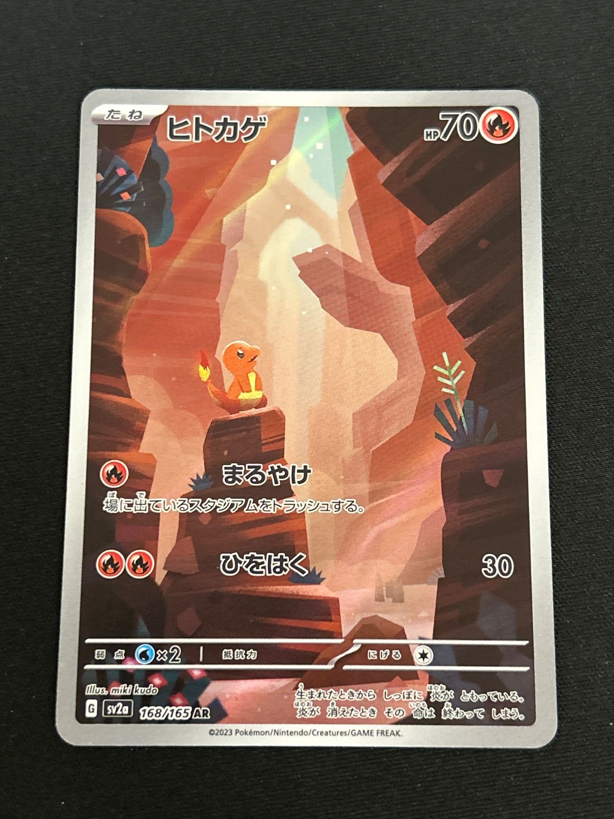広店】ポケモンカード ピカチュウ ヒトカゲ AR 2枚セット 【362-5993